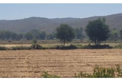 On-Road 14 Bigha Agricultural Land for Sale Near Jidoli Ghati, Alwar