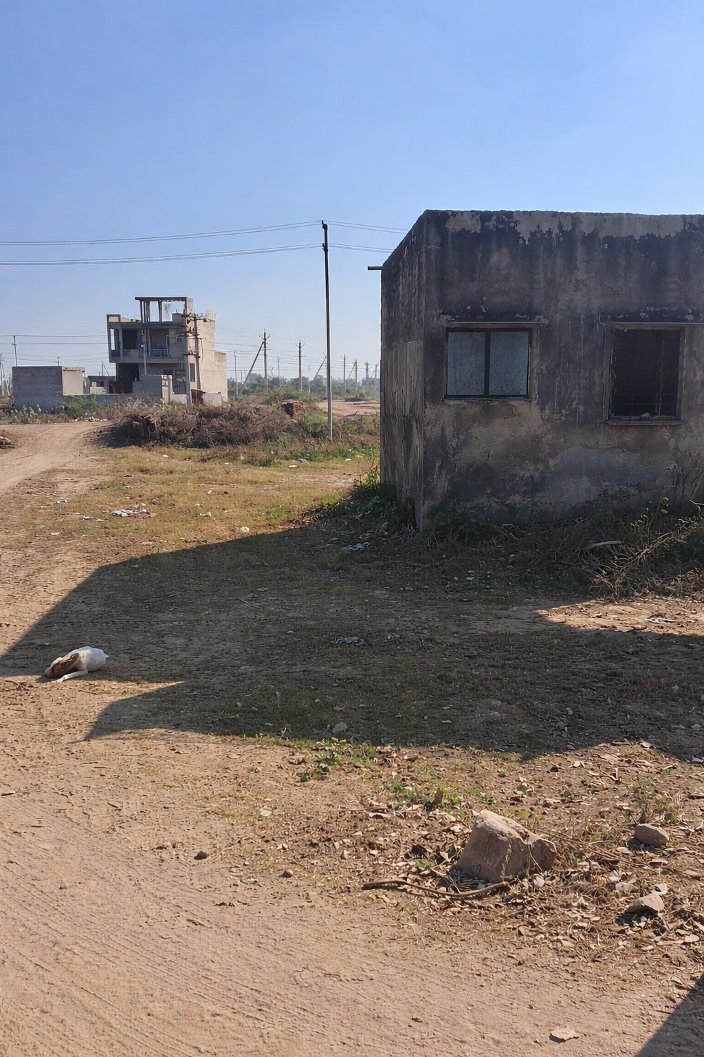 Plot for Sale in Vigyan Nagar, Alwar – UIT Scheme 170.08 sq.yd(D-Block)